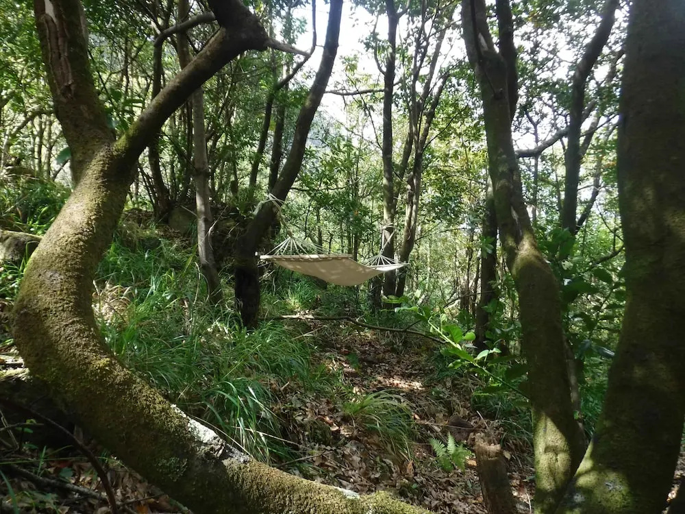 Nature inn Madeira - Glamping