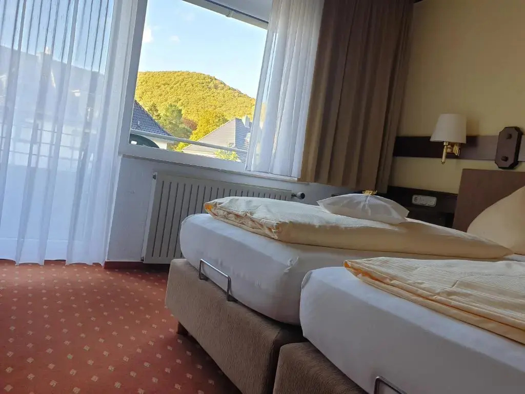 Standard Double room with balcony (full double bed)