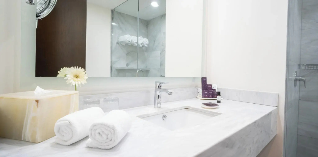 HS HOTSSON Hotel Querétaro - Général