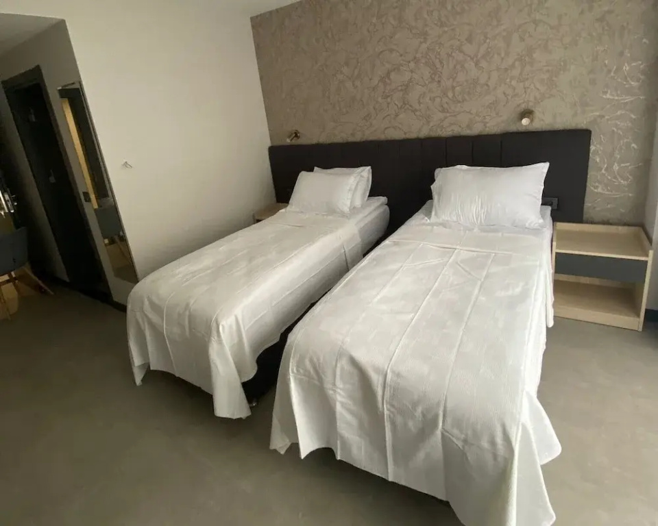 Superior Double room with mountain view (twin beds)