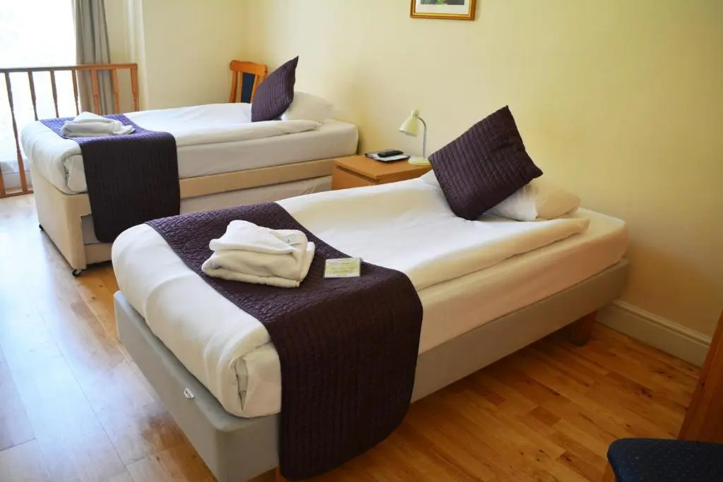 Standard Double room (twin beds)