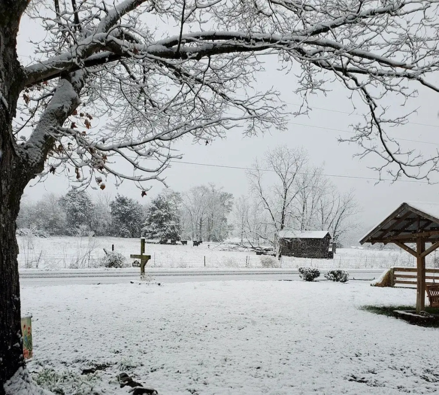 Country Aire Bed & Breakfast