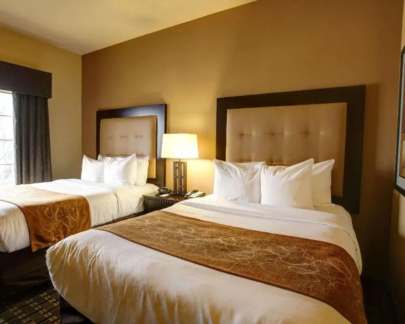 Standard Suite