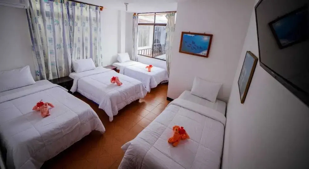 Hotel Salinas - Chambres