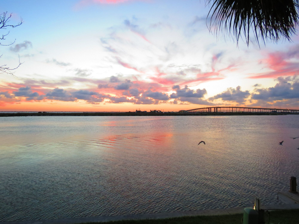 Beach & Waterfront