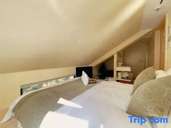 Comfort Double room (full double bed)