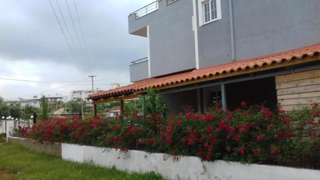 images