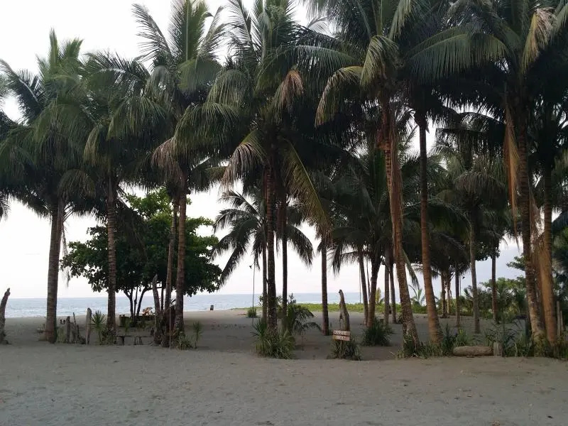 Beach & Waterfront