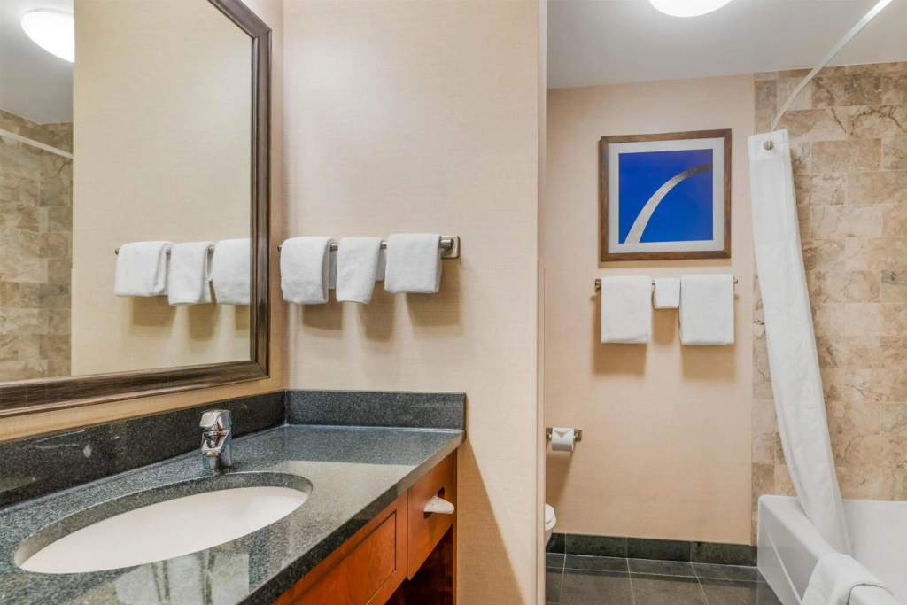 Drury Plaza Hotel St. Louis Brentwood - Général