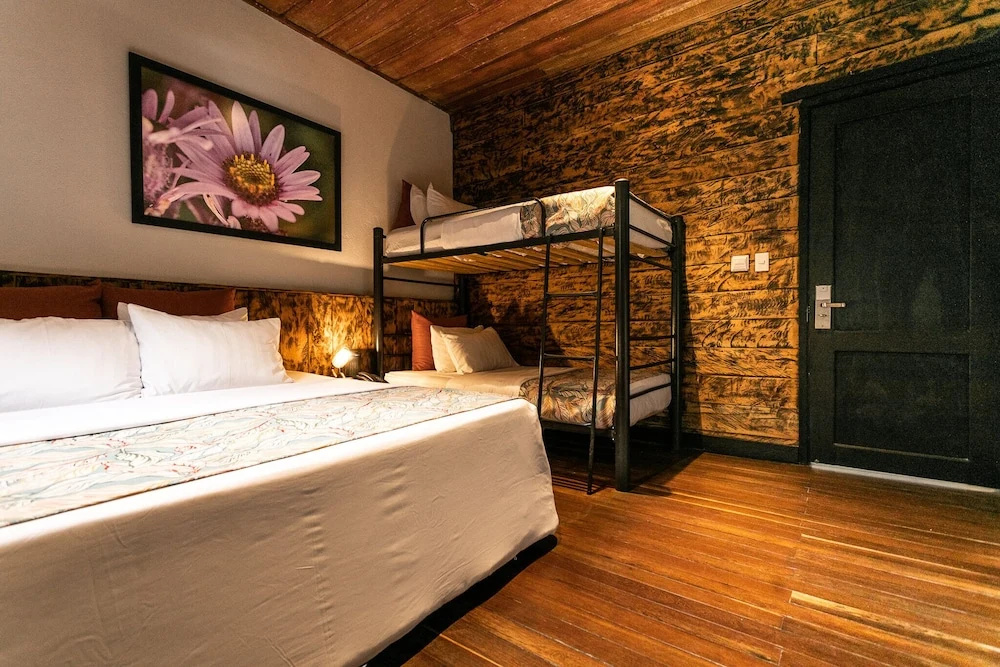 Hotel Termales Del Ruiz - Chambres