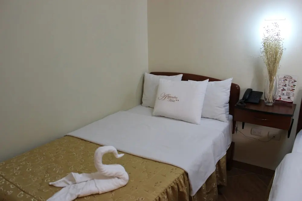Alejandra Hotel - Chambres