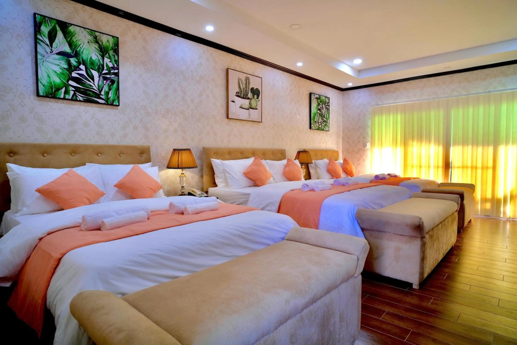 Luisita Central Park Hotel - Général
