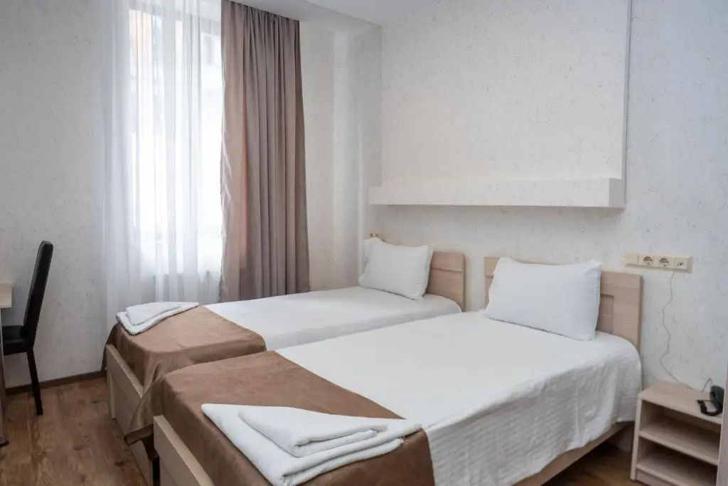 Standard Double room (twin beds)