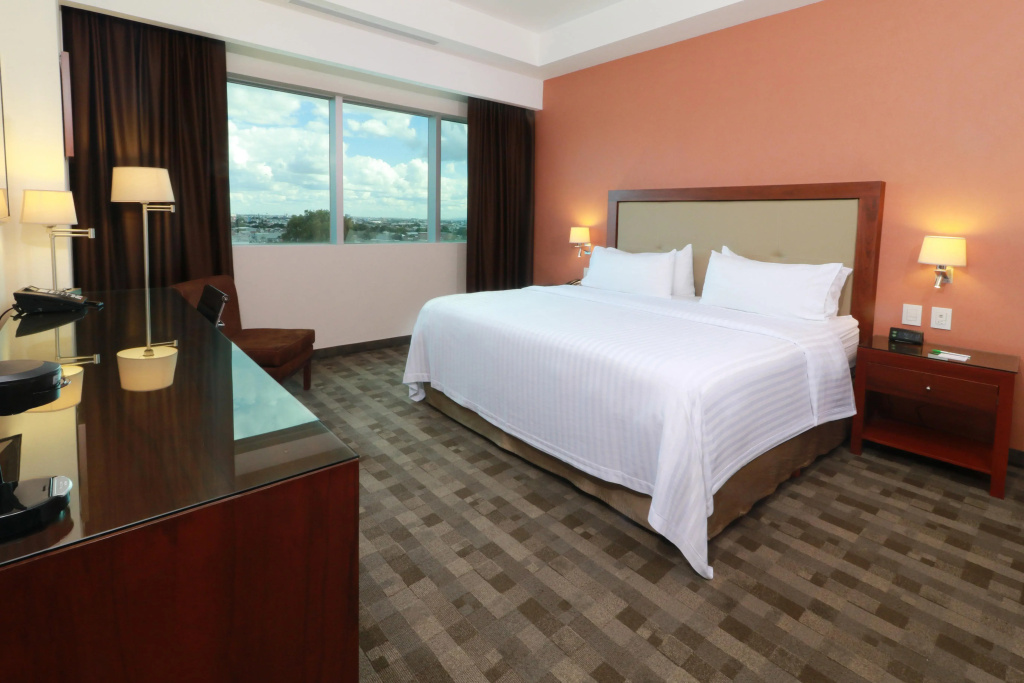 Holiday Inn Leon Plaza Mayor by IHG - Général