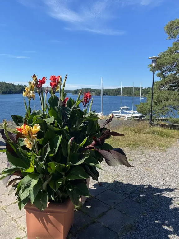 Beach & Waterfront