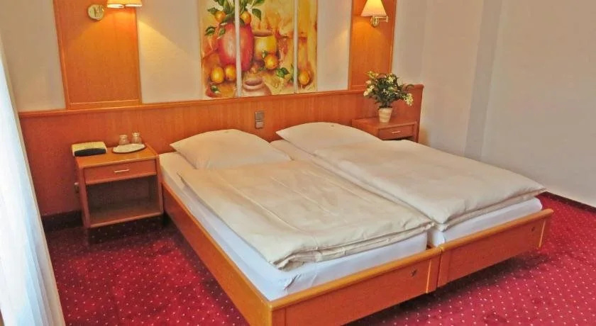 Hotel Roseneck - Général