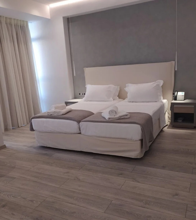 Deluxe Double room (twin beds)