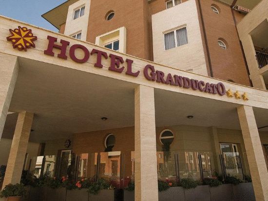 Hotel Granducato image