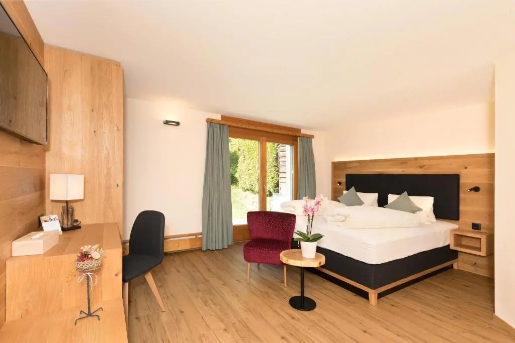 Standard Double room (full double bed)