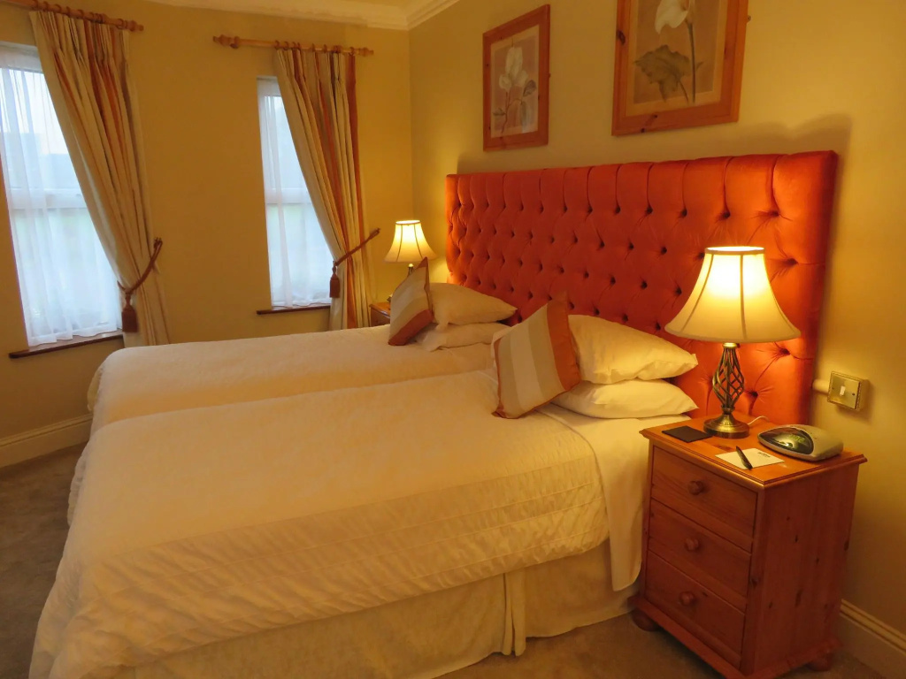 Standard Double room (twin beds)