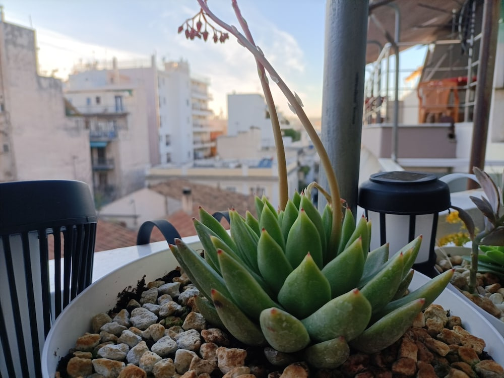 Hotel photo 41