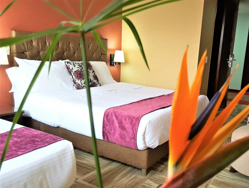 Hotel photo 19