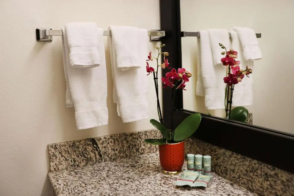 Best Western Inn-Rohnert Park - Chambres