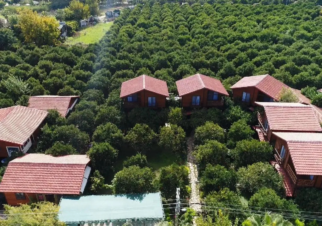Superior Villa