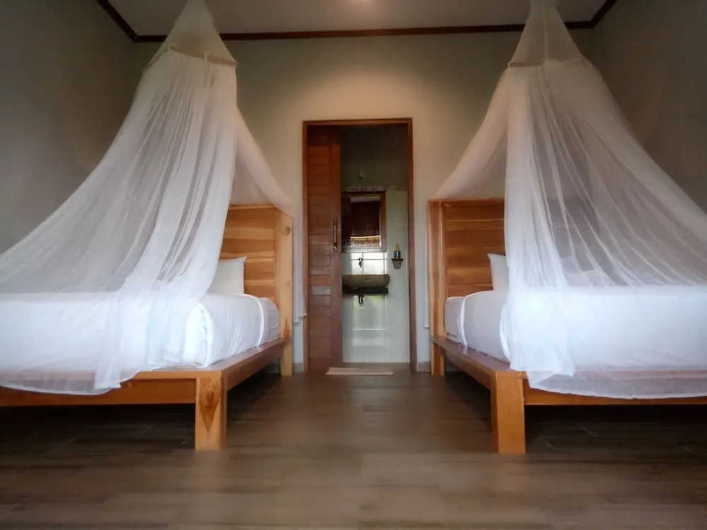 Deluxe Double room (twin beds)