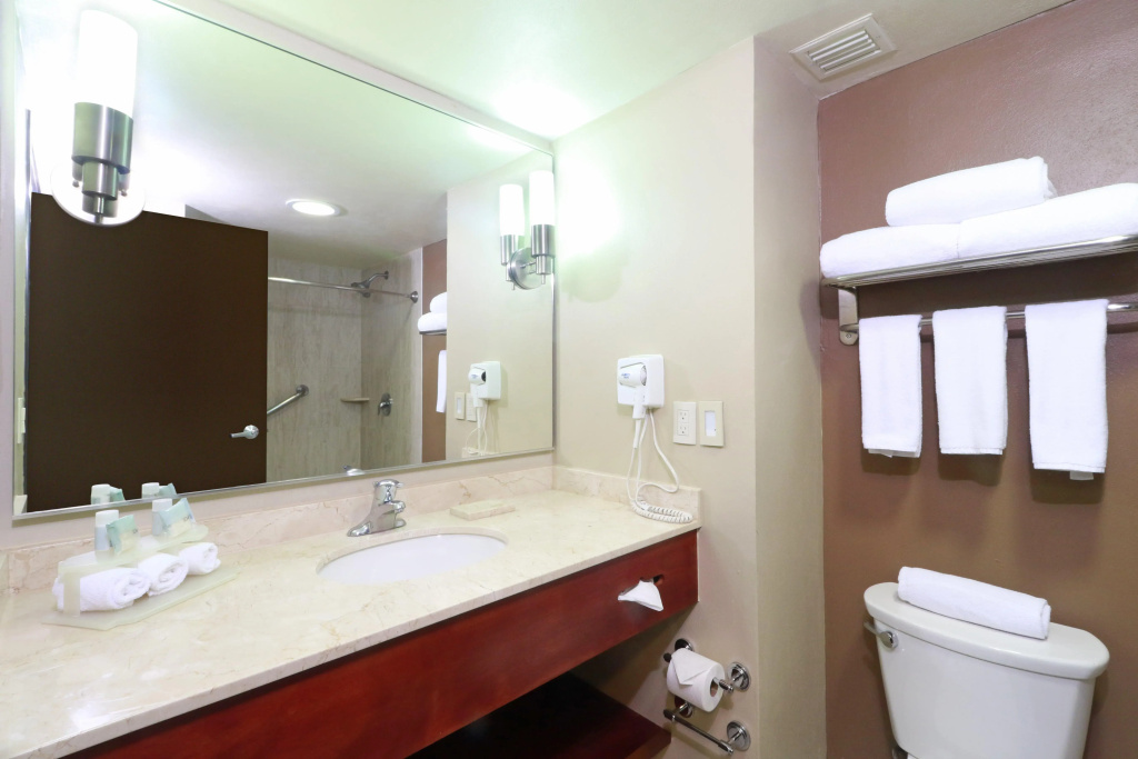 Holiday Inn Express Guadalajara Aeropuerto by IHG - Général