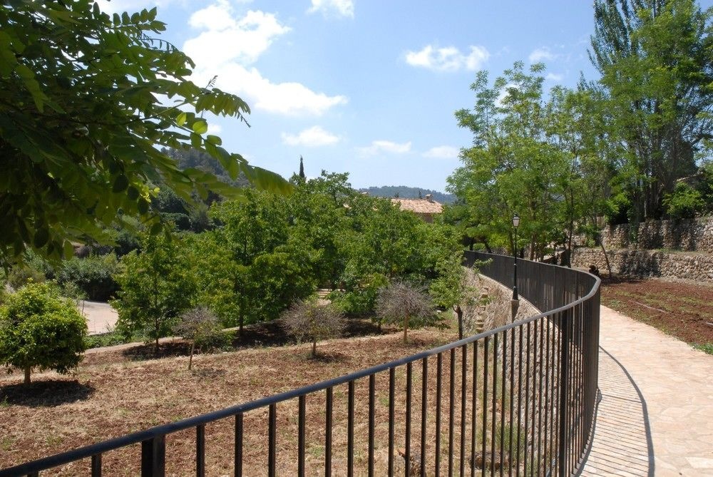 Balcony & Terrace