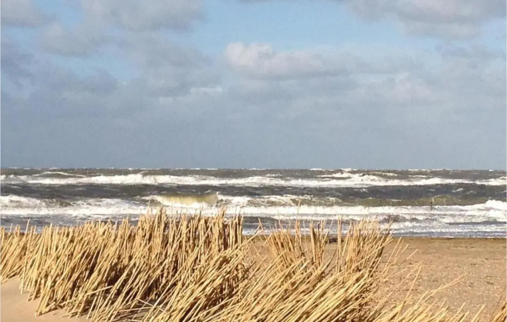 De Zeemeeuw - фото 8