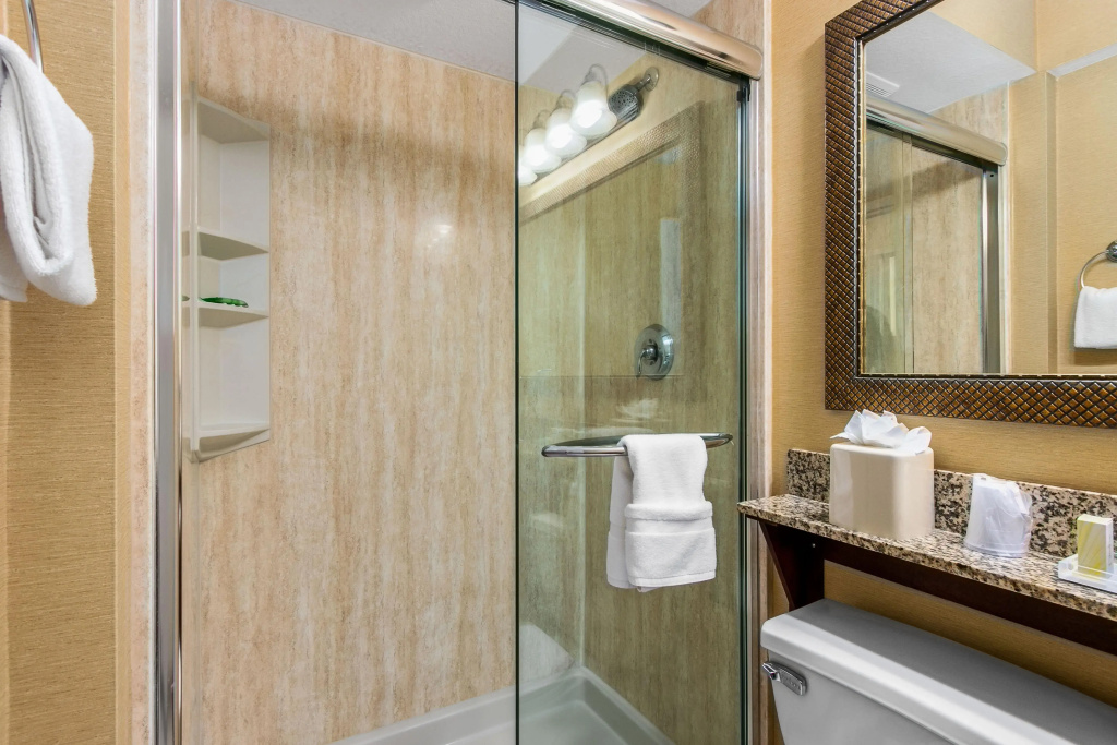 Holiday Inn & Suites Clearwater Beach by IHG - Général