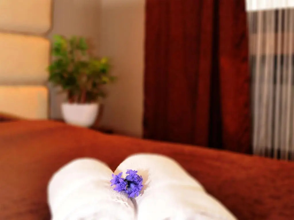 Petrus Hotel - Chambres