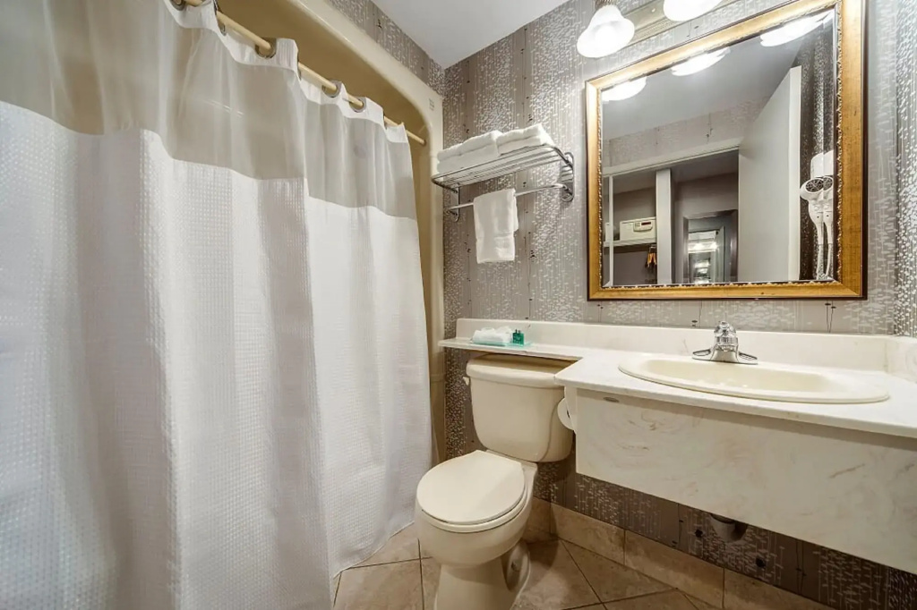 Monte Carlo Inn - Brampton Suites - Général