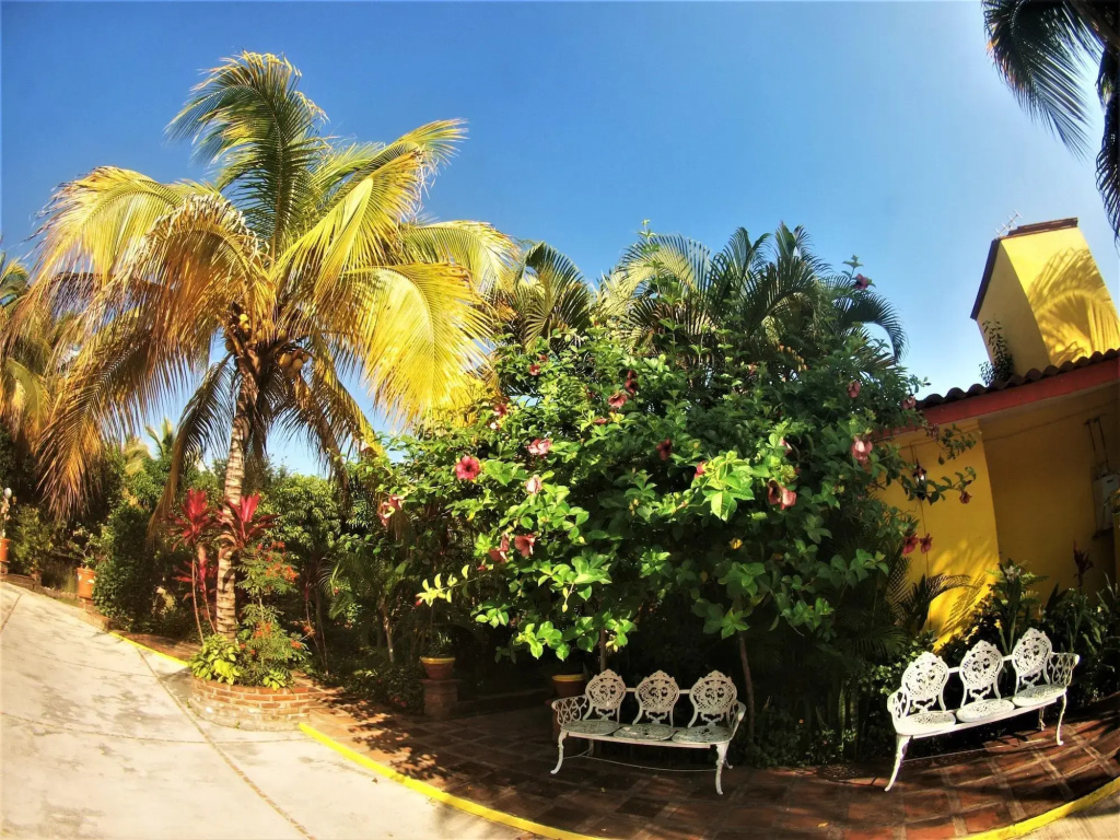 Hotel photo 12