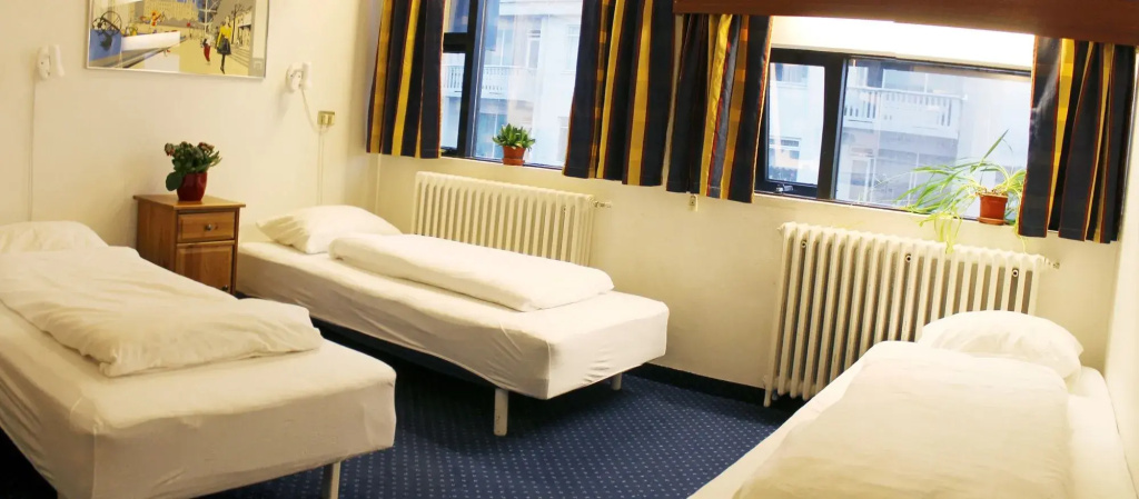 Reykjavik Downtown Hotel - Général