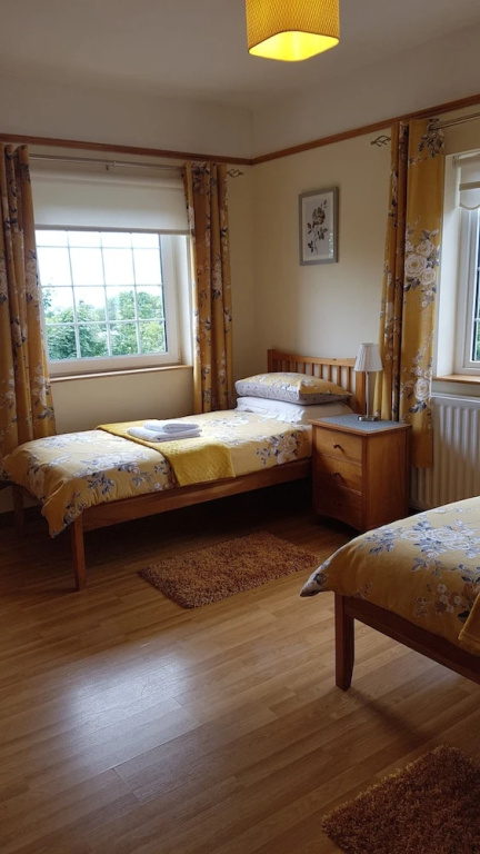 Deluxe Double room (twin beds)