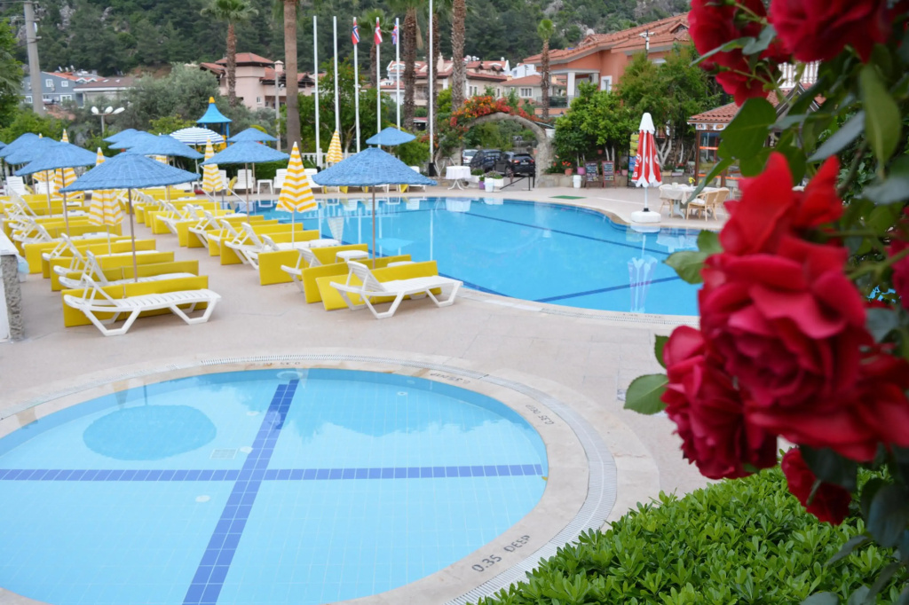 Hotel photo 11