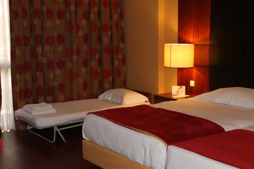 Lezíria Parque Hotel - Général