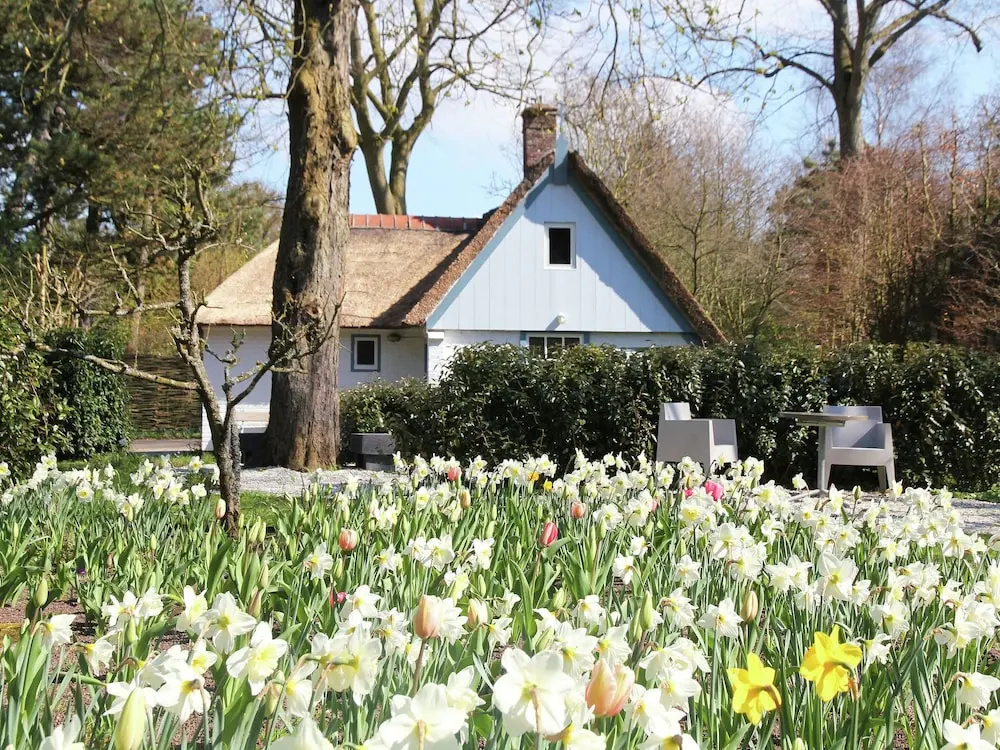 Romantic holiday home in Bergen North Holland with terrace