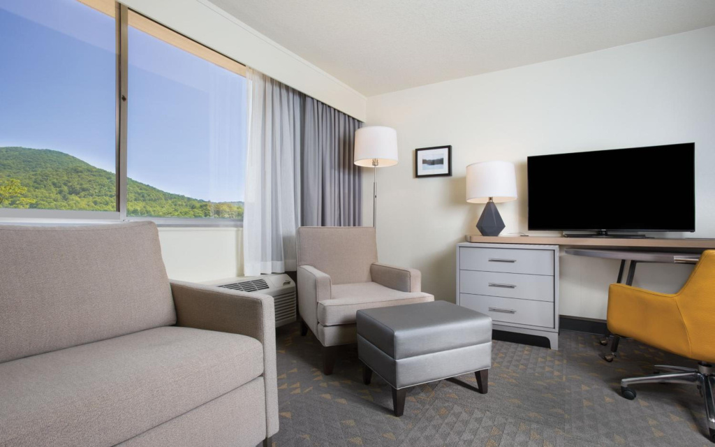 Holiday Inn Asheville East-Blue Ridge PKWY by IHG - Général