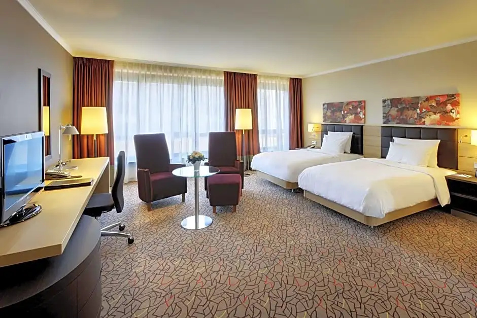 Deluxe Rhine Wing Double room with city view (twin beds)