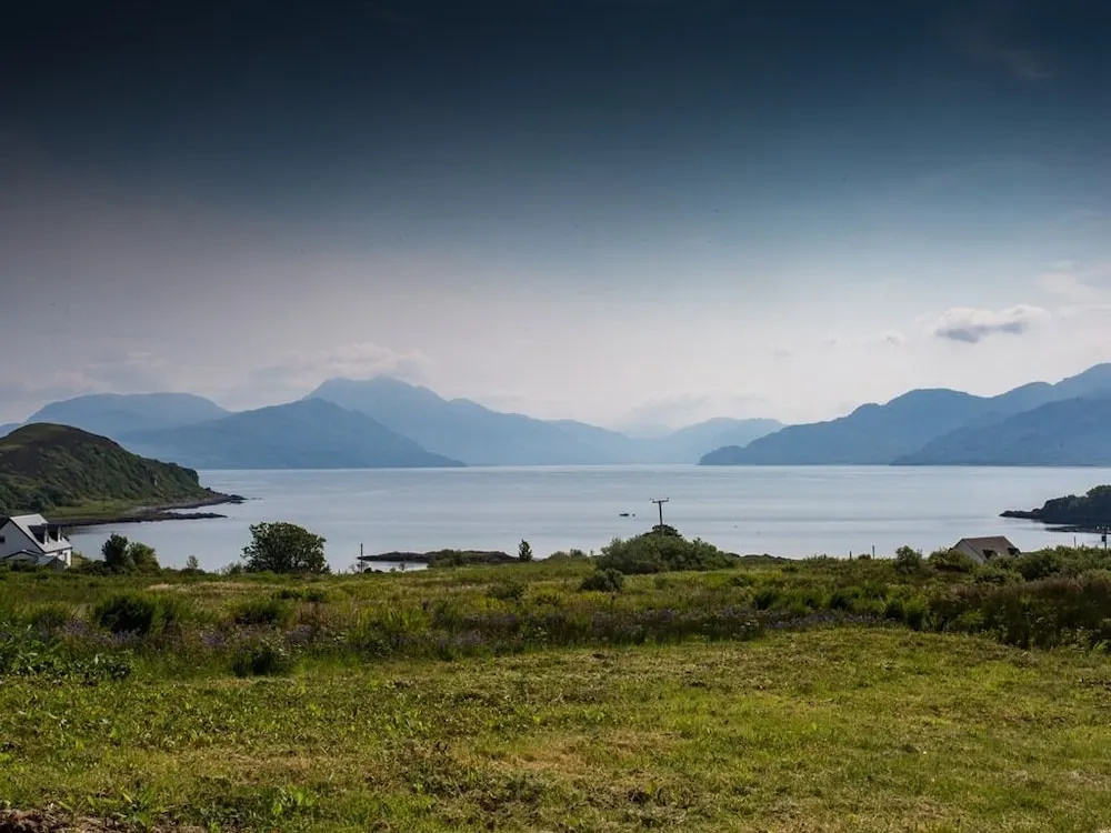 Thistles on Skye