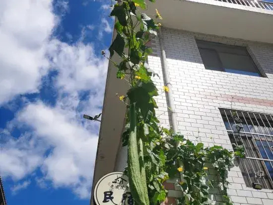 Laocheng Yard Homestay