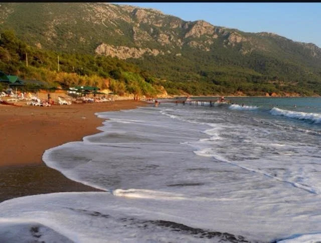 Beach & Waterfront