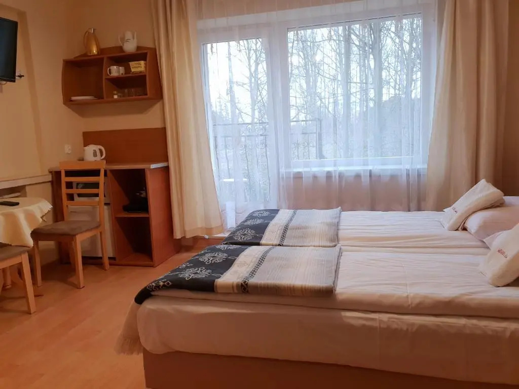 Standard Double room (full double bed)