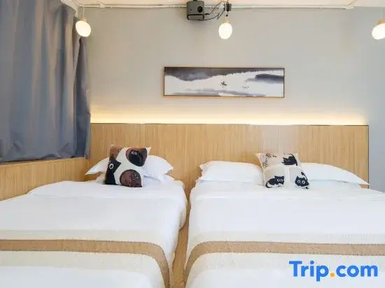 Standard Double Family room (twin beds)