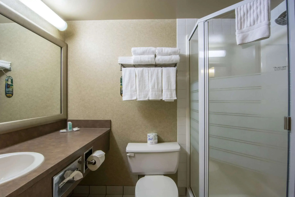 Comfort Inn & Suites Airport South - Général