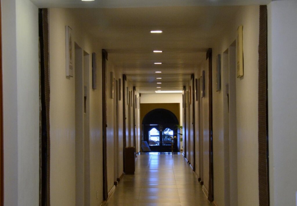 Image 8